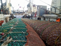 Brief results of the Sea of Okhotsk pollock fishery in season A 2020